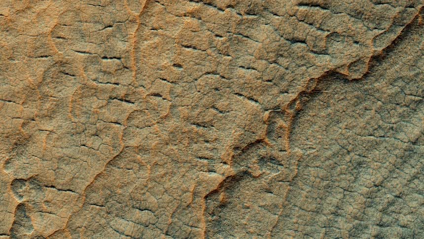 A surface filled with lines cracks and ridges