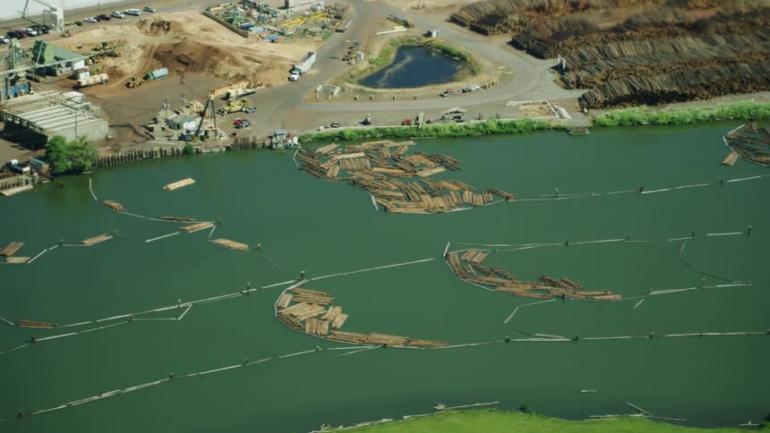 Aerial view of logs floating on a river on the way to the sawmill in rural Oregon