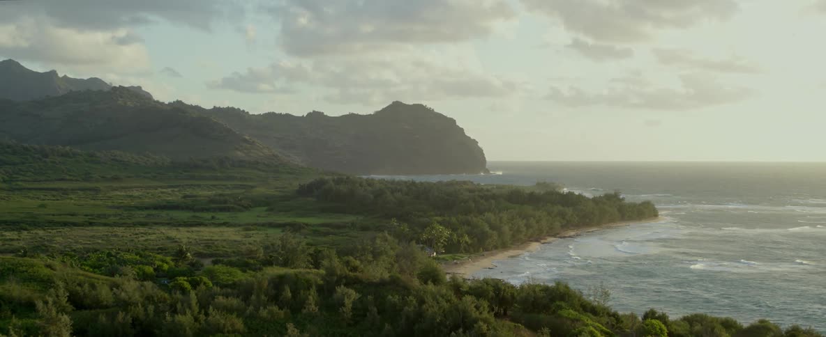 Gentle ocean waves ripple along the coast of a forest