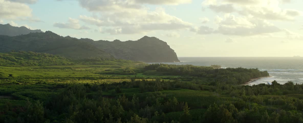 Mountains and trees near the ocean
