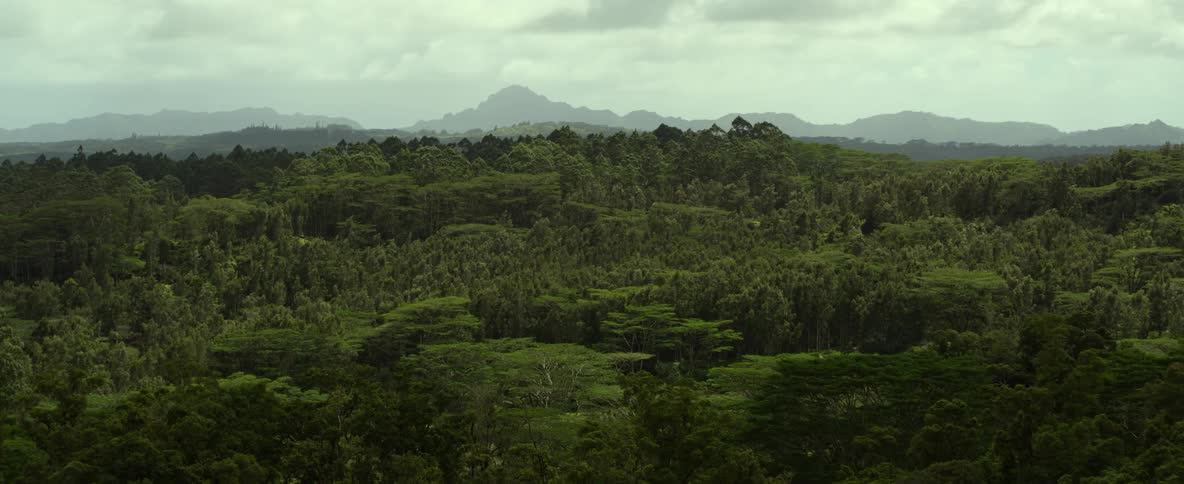 The mountains are green and full of trees