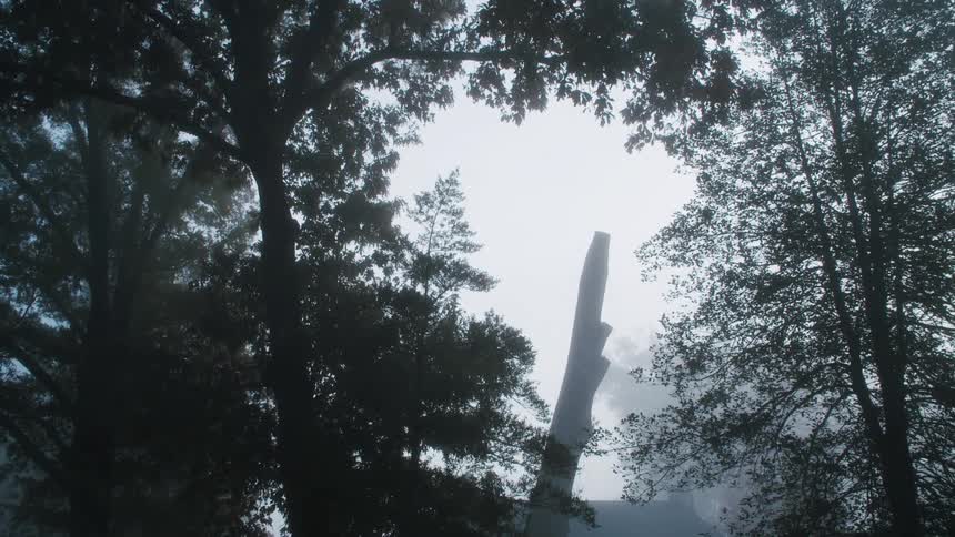 The forest with an opening and the sky is exposed