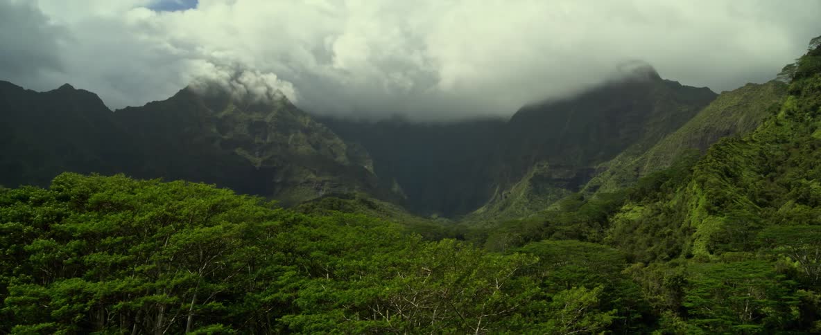 Aerial view of green forest and mountain range