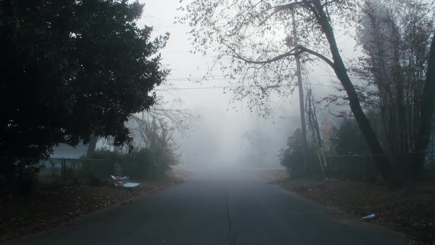 Foggy weather is covering the rural area