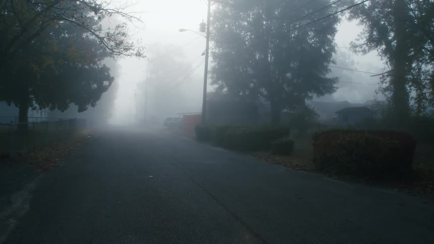 Fog is covering the rural area during the daytime