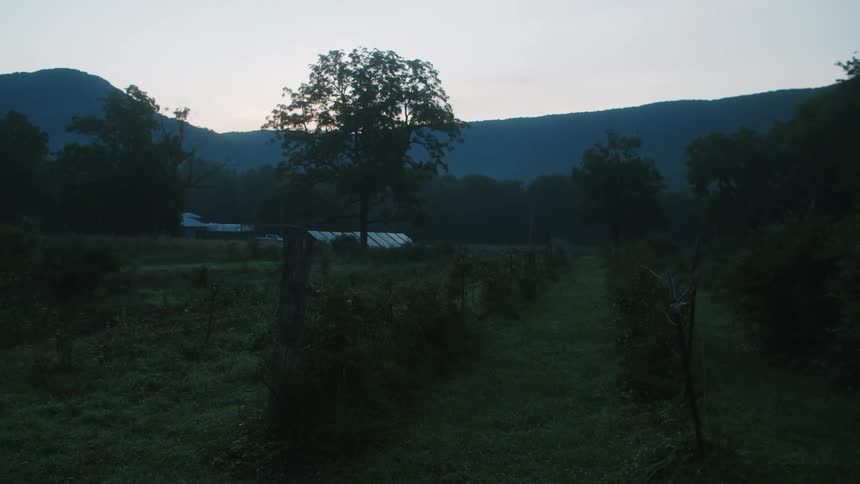 A farm orchard near the mountains