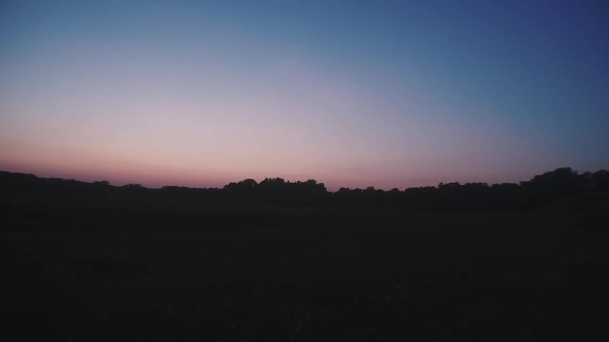 The sun sets below the horizon over a forest