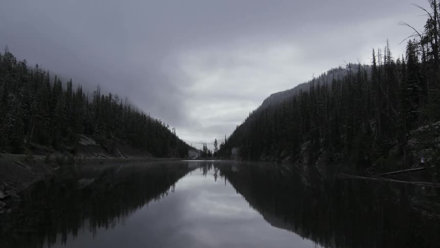 Trees surrounding a river is displayed on film