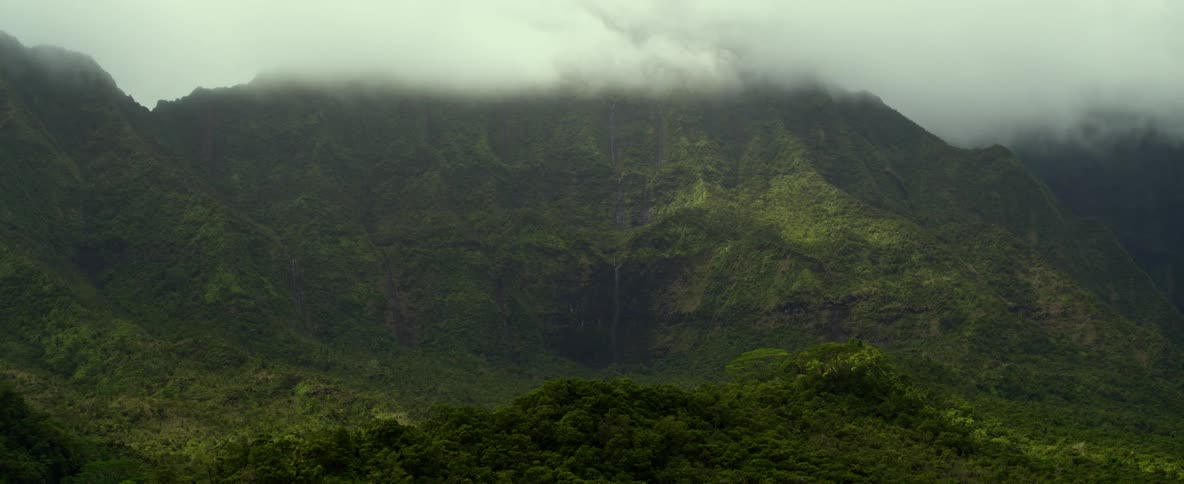 A mountain slope is completely covered in lush green vegetation