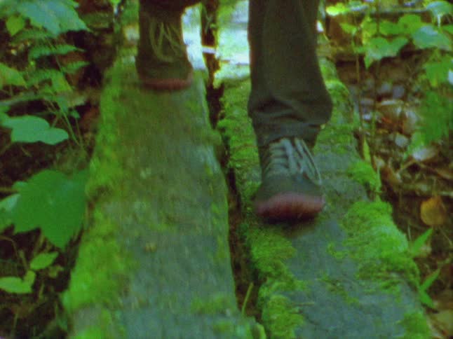 A person walks across logs as they hike in a forest