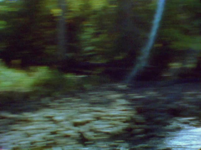A girl is holding the straps of her backpack as she stands in the woods near a flowing stream