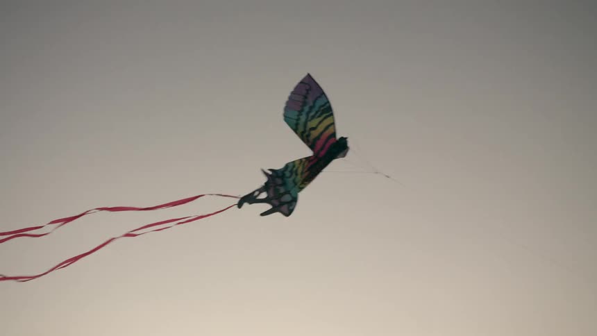 A kite flying in the sky