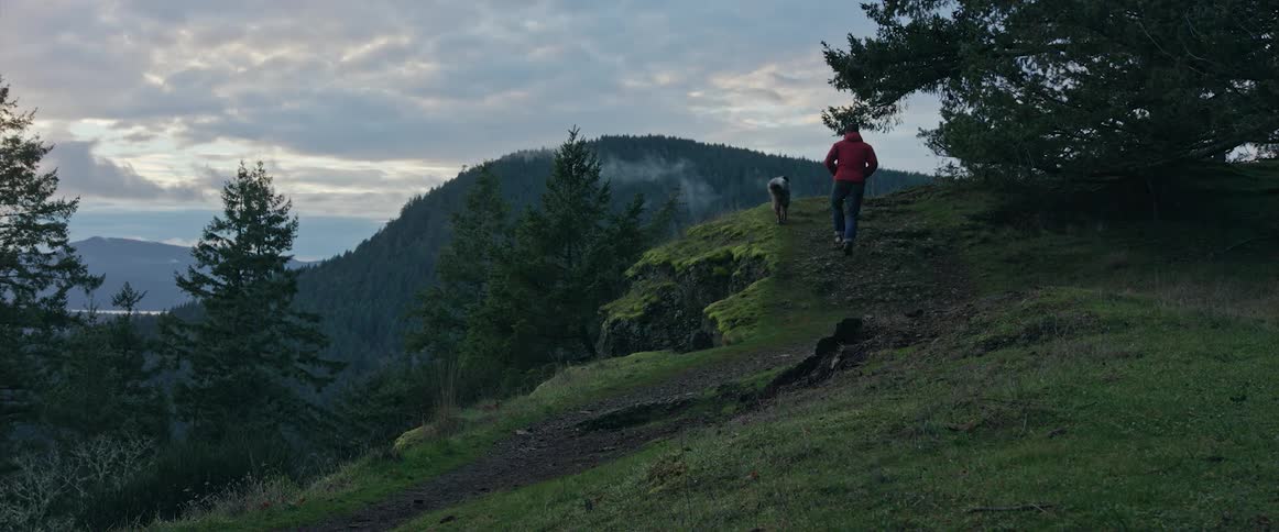 A man walks up a slope in a mountainous countryside alongside a dog