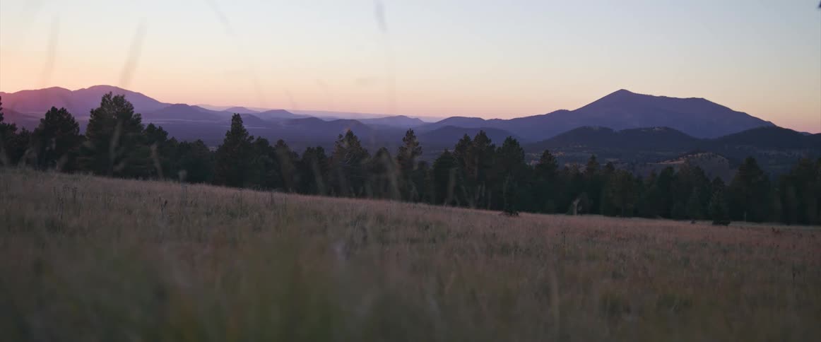 Landscape of open field with distant forest and mountain range at sunset