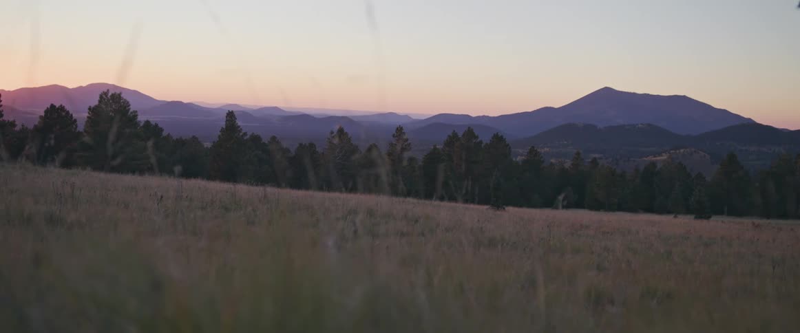 Tall grass and weeds move in the breeze in a field near a forest with mountains in the distance