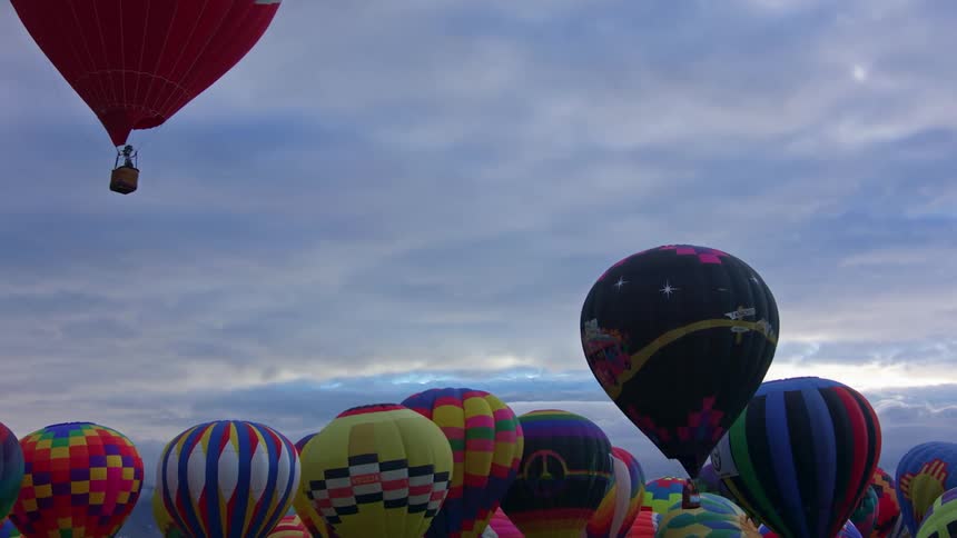 Many hot air balloonson the ground and taking flight