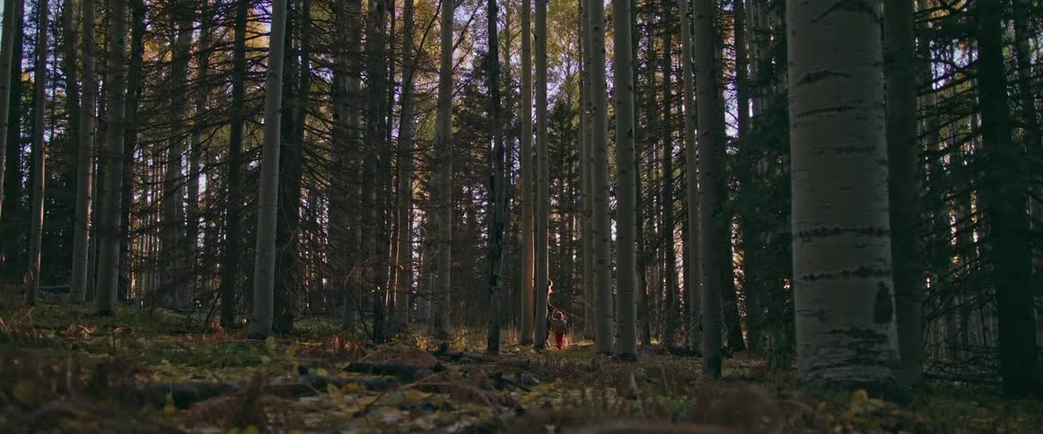 Woman leads child through trees in woods strewn with fallen leaves