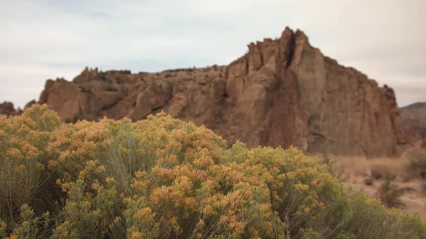 A large rock mountain near shrubs