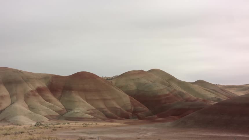 Plants and rocks are scattered among desert mountains under a milky white sky