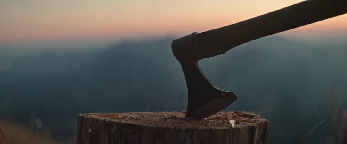 An axe is stuck in a tree stump and there are mountains in the distance in the evening