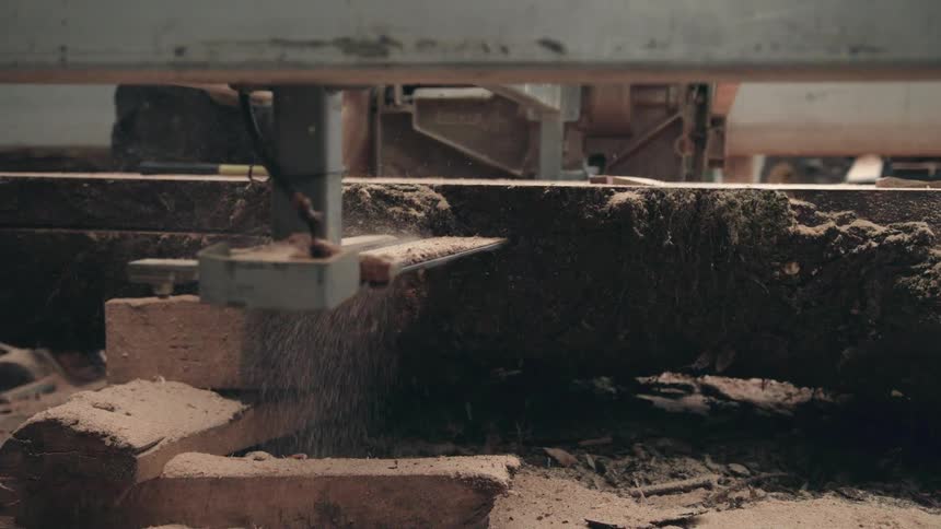 Closeup of sawmill cutting wood