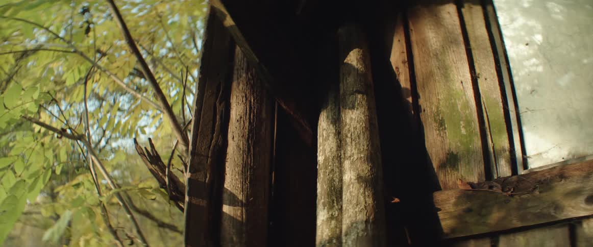 Sunlight casts shadow of leaves blowing in wind against old barn wall