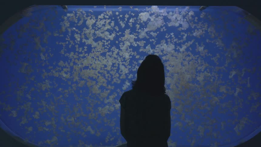 A woman is watching the aquarium