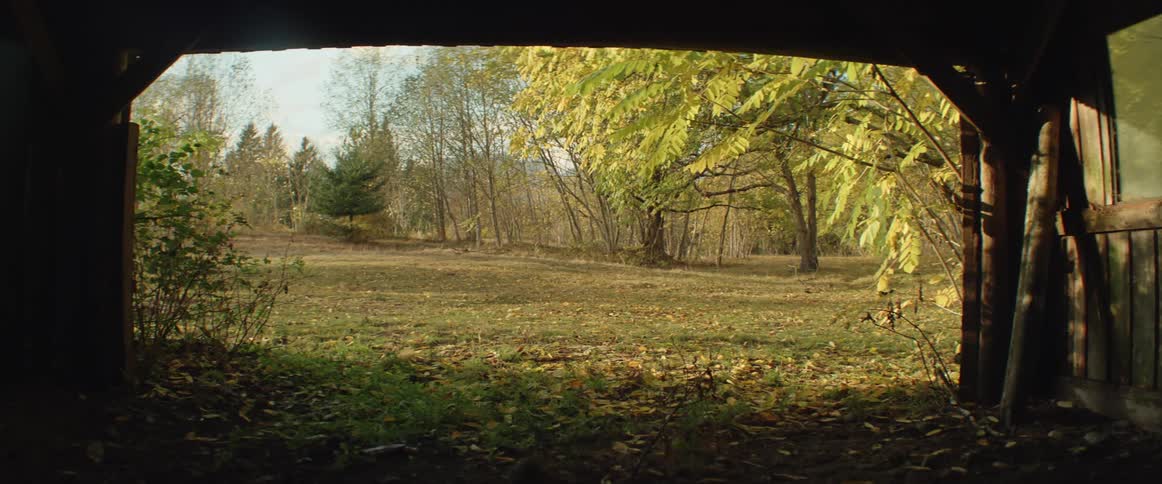 A field is seen through the door of a stable in autumn