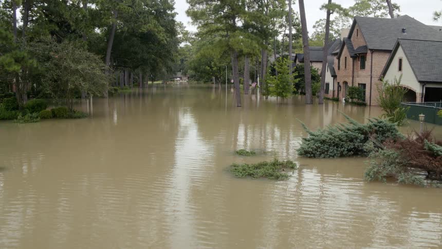 The neighborhood is flooded