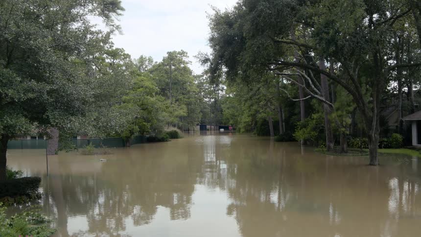 Flood waters cover neighborhood reflecting trees