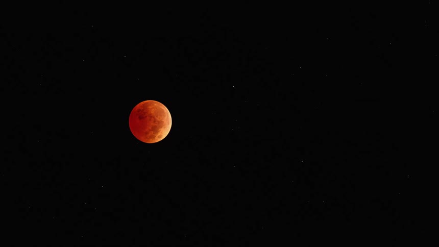 A full blood moon is moving down in the night sky