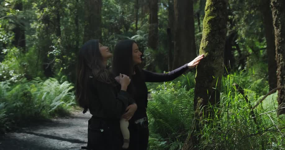 A pair of women examine the moss on a tree trunk in a forest during the day