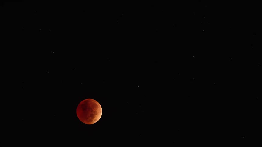 A full blood moon is moving down in the night sky