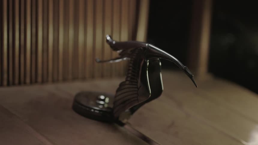 A hood ornament in the form of a flying goose