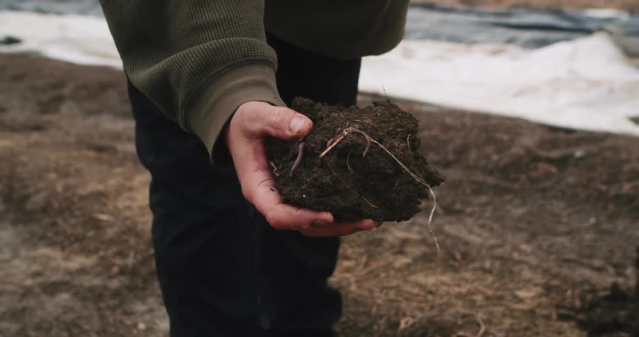 A farmer shows a handful of healthy soil