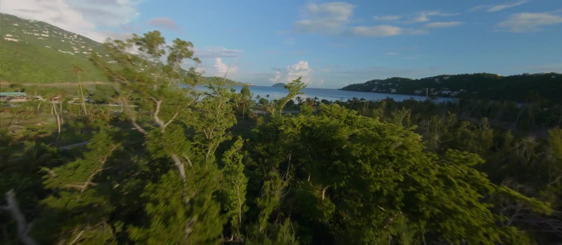 FPV - Aerial view of forests on the mountains close to a lake at morning