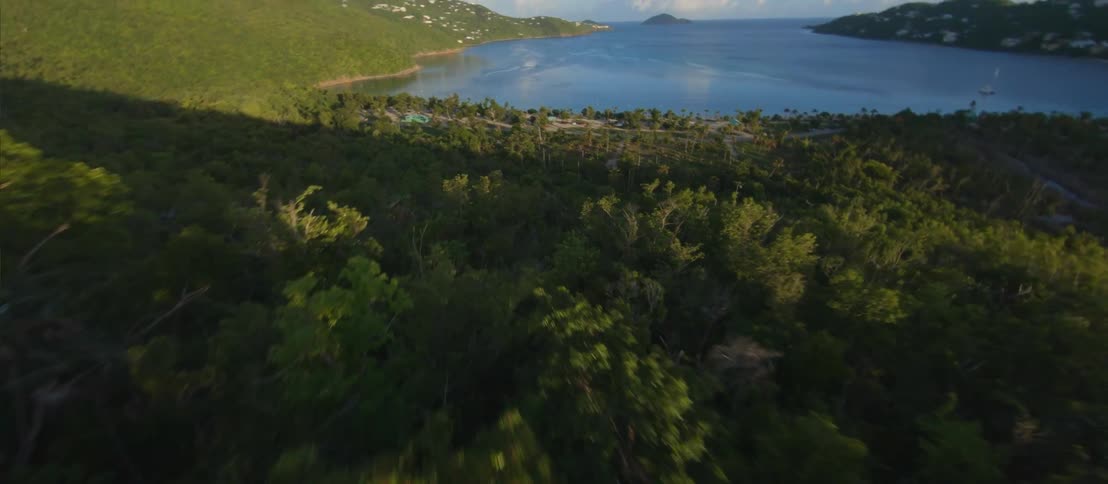 FPV - An aerial view of dark green trees on the hillside with blue ocean coastline