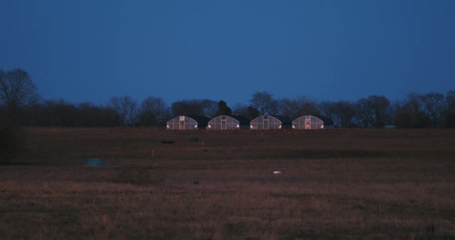 Chicken coops in the distance on a free-range chicken farm