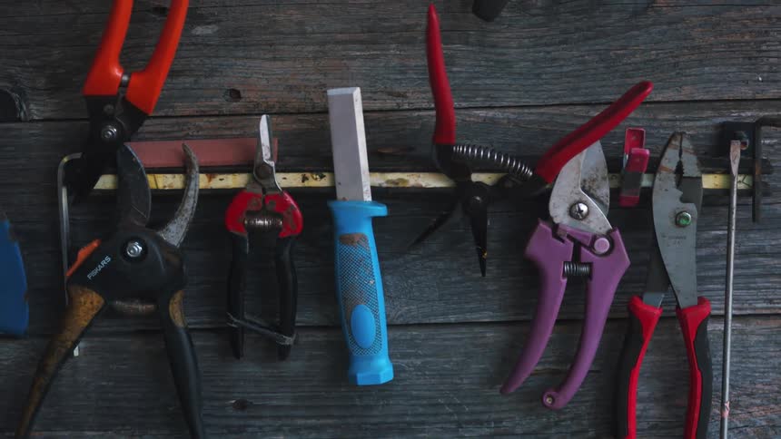 Garden tools hanging on a magnetic strip on a wall