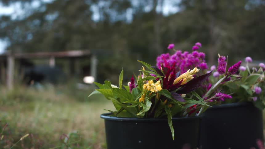 A flower pot sits in the grass and there is a building and trees in the distance