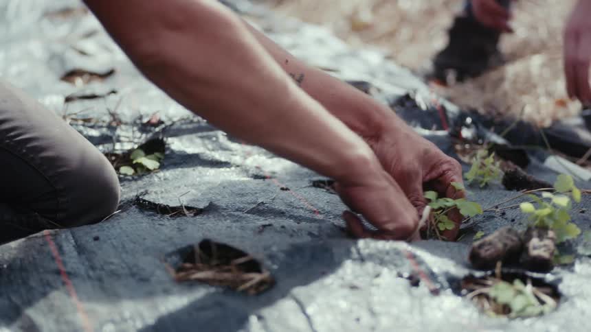 Two people are planting outdoors during the spring time