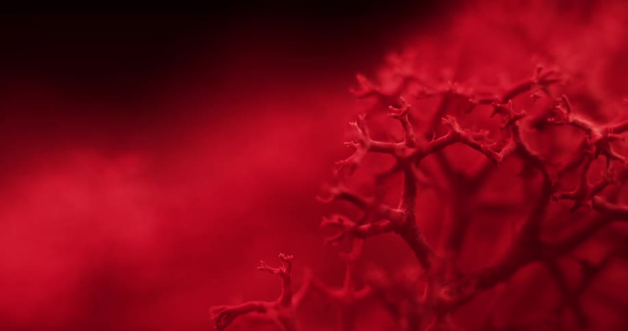 Extreme close up of moss or coral like structures under colored bright red lights
