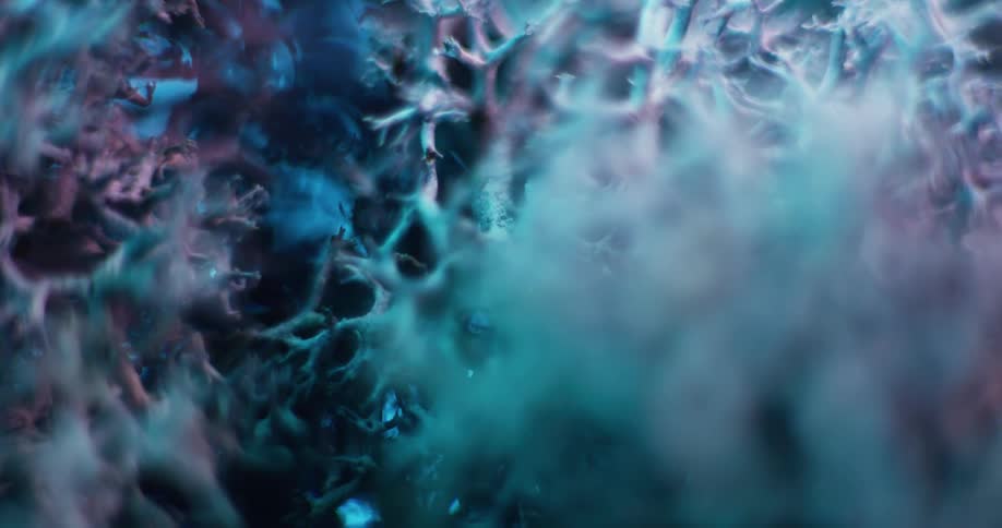 Close up of the twisted interlaced strands of a coral or moss like structure under red blue lights