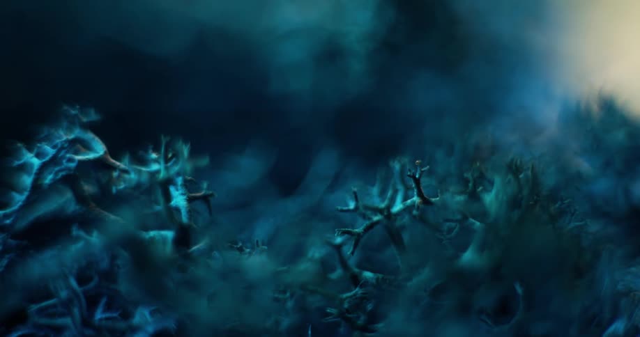 The cells are blue in color