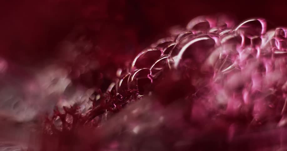 Bubbles form on the surface of a dark red liquid