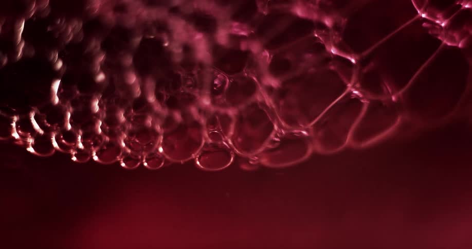 Close up view of bubbles in water is displayed