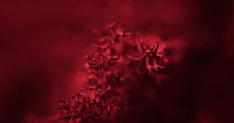 Closeup of golden hair lichen in red light