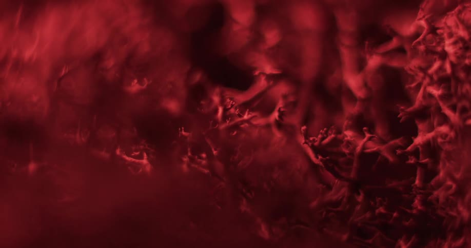 A close up of a red fibrous material