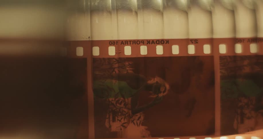 The slides have images on them