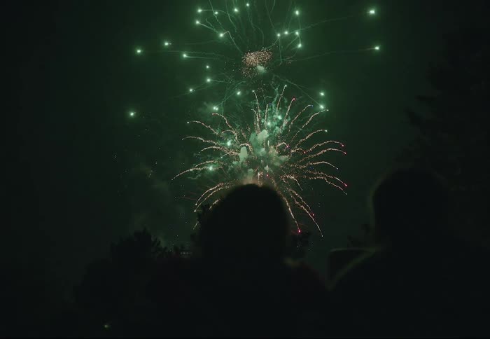 People watch fireworks being set off in the sky at night